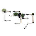 Charger l'image dans la visionneuse de la galerie, The Gardens Modern Cat Tree with Plants by Catastrophic Creations; light wood cat condo with greenery.