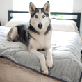 Cargar la imagen en la vista de la galería, PupChill™ Cooling Waterproof Blanket - Arctic Grey, on a bed with a husky.