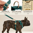 Load image into Gallery viewer, PawLuxe Green Velvet Set Custom No Pull Harness Medium And Large by DDPaws