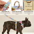 Bild in Galerie-Betrachter laden, Premium Dreamy Rainbow Print Set Complete Three Piece Dog Harness Collar Leash Collection by DDPaws