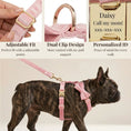 Load image into Gallery viewer, Pink Velvet Dog Harness And Leash Set Personalized Soft Durable Fit by DDPaws