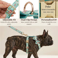 Load image into Gallery viewer, Blue Blossom Floral Harness Lead Set 3 Piece Kit With Removable Bow by DDPaws