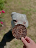 Load image into Gallery viewer, Angus beef patty quarter; brown, cooked exterior held outdoors with a white dog in the background