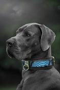 Load image into Gallery viewer, The ''Morelia Python'' collar - Pet Collars & Harnesses from Bestia Dog Gear
