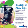 Bild in Galerie-Betrachter laden, SodaPup Vampire Bat Nylon Dog Chew Toy for aggressive chewers, FDA compliant