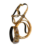 Load image into Gallery viewer, Glam Gold Leather Pet Collar Harness & Leash Set by Allysa Payne Beverly Hills