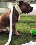 Bild in Galerie-Betrachter laden, The "Maximus" leash white & gold - Pet Leashes from Bestia Dog Gear