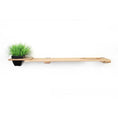 Load image into Gallery viewer, Cat Plant Stand for Wall cat shelf with natural wood finish and black planter holding green grass plant