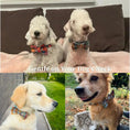 Load image into Gallery viewer, Autumn Blue Plaid Custom No Pull Dog Harness Collar Leash Bow Tie Set With Waste Bag Holder by DDPaws