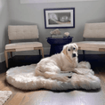 Load image into Gallery viewer, PupRug by Paw.com® Faux Fur Orthopedic Dog Bed - Curve White with Brown Accents
