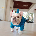Carica l'immagine nel visualizzatore della galleria, Pet Apparel Fleece Solid Color Hoodie teal blue by Pet Zen for dogs