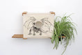 Bild in Galerie-Betrachter laden, Deluxe Cat Cubby Bed by Catastrophic Creations; beige fabric cubby with round entrance, wood shelves, dragon art, plant