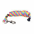 Bild in Galerie-Betrachter laden, GATSBY solid-braid polypropylene lead rope by StateLineTack; multicolor blue, yellow and pink with metal clip