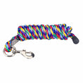 Bild in Galerie-Betrachter laden, GATSBY solid-braid polypropylene lead rope, rainbow multicolor braid with metal snap