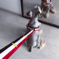 Load image into Gallery viewer, Trendy Harness and Leash Set For Dogs by For Animals, With Love