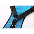 Load image into Gallery viewer, Dog Supplies Breathable Mesh Chest Strap Car Safety Harness Vest by For Animals, With Love