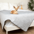 Cargar la imagen en la vista de la galería, Paw.com PupChill cooling waterproof blanket, Arctic Grey, on a bed with a dog