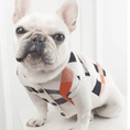 Load image into Gallery viewer, Pet Zen dog sweater in cream argyle knit with orange accents and front buttons