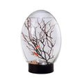 Carica l'immagine nel visualizzatore della galleria, 1PCS Mini Aquarium Fish Tank Ecosphere Closed Aquatic Ecosystem with LED Light Desktop Aquarium Stable Black Base No Need to Feed or Change Waterbiosphere Ecosystem - from For Animals, With Love