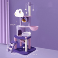 Load image into Gallery viewer, PawPerfect Large Indoor Cat Scratching and Jumping Durable Platform by For Animals, With Love
