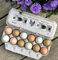 Load image into Gallery viewer, Laid Local egg carton with 12 assorted eggs in a cardboard carton