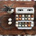 Charger l'image dans la visionneuse de la galerie, Henlay Blank Stamping Egg Cartons - 25, 90, or 250