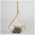 Load image into Gallery viewer, Open Air Glass Bird House hanging feeder with a gold frame, filled with mixed seeds for backyard birds.