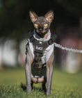 Bild in Galerie-Betrachter laden, K9R M1 Lightspeed Cat Harness With Minimalist Chest Plate Made USA by kiloninerpets