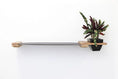 Load image into Gallery viewer, Cat Hammock Wall with Planter by Catastrophic Creations; wooden end blocks, gray bar, planter with green leaves.