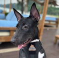 Cargar la imagen en la vista de la galería, Poop Machine Mini Morale Patch Hook Backing Vest Harness by kiloninerpets