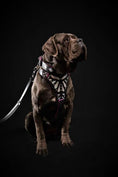 Load image into Gallery viewer, The ''Ariel'' harness - Pet Collars & Harnesses from Bestia Dog Gear