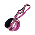 Bild in Galerie-Betrachter laden, Pavé Pink Iridescent Snake 3-Inch Wide Collar, Leash and Harness Set by Allysa Payne Beverly Hills