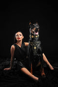 Bild in Galerie-Betrachter laden, The "Maximus" harness V2 - Pet Collars & Harnesses from Bestia Dog Gear