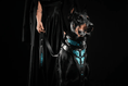 Load image into Gallery viewer, The ''Morelia Python'' collar - Pet Collars & Harnesses from Bestia Dog Gear
