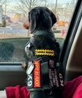 Cargar la imagen en la vista de la galería, Mini Trouble Maker Embroidered Morale Patch 1x3 Inch Hook Back by kiloninerpets