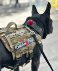 Bild in Galerie-Betrachter laden, Men's Bitches Love Me Morale Patch With Hook Fastener Backing Tactical Velcro Vest And Harness Option by kiloninerpets