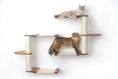 Load image into Gallery viewer, Cat Condo The Catacombs cat tree scratching post system with beige sisal posts and wood platforms, featuring two cats.