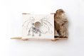 Carica l'immagine nel visualizzatore della galleria, Cat Cubby for Wall - Covered Cat Bed; wooden wall-mounted cubby with dragon-illustrated canvas cover