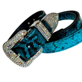 Load image into Gallery viewer, Blue and black Serpente belt set with crystal-embellished buckle by Allysa Payne Beverly Hills