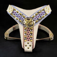 Carica l'immagine nel visualizzatore della galleria, THE CANDY Harness - Pet Collars & Harnesses from Bestia Dog Gear