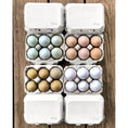 Load image into Gallery viewer, Half-dozen egg cartons, Henlay blank flat-top, six-pack, two colors, pastel eggs shown on wood surface