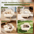 Cargar la imagen en la vista de la galería, Cat Sofa Bed Furniture Style Velvet Pet Couch with Wood Legs Small Dogs by Wags & Whiskers Pet Supply