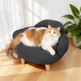 Cargar la imagen en la vista de la galería, Cat Sofa Bed Furniture Style Velvet Pet Couch with Wood Legs Small Dogs by Wags & Whiskers Pet Supply