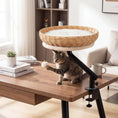 Charger l'image dans la visionneuse de la galerie, Cat Desk Bed by DirectDeals with removable padded cushion, round wicker perch on adjustable desk stand for indoor cats