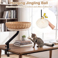 Charger l'image dans la visionneuse de la galerie, Cat Desk Bed with removable padded cushion on a wicker base, DirectDeals cat perch with hanging jingling ball