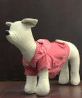 Cargar la imagen en la vista de la galería, The Everyday Pet Hoodie