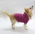 Load image into Gallery viewer, The Everyday Pet Hoodie
