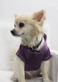 Load image into Gallery viewer, The Everyday Pet Hoodie