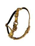 Bild in Galerie-Betrachter laden, Glam Gold Studded Italian Leather Dog Harness by Allysa Payne Beverly Hills
