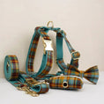 Load image into Gallery viewer, Autumn Blue Plaid Custom No Pull Dog Harness Collar Leash Bow Tie Set With Waste Bag Holder by DDPaws
